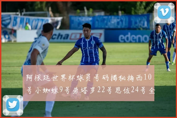 阿根廷世界杯球员号码揭秘梅西10号小蜘蛛9号劳塔罗22号恩佐24号全解析